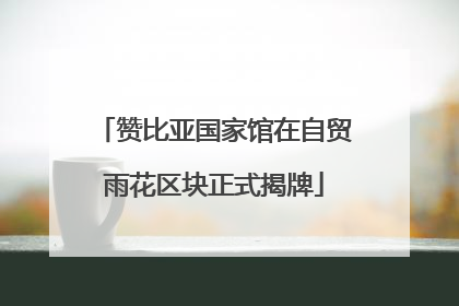 赞比亚国家馆在自贸雨花区块正式揭牌